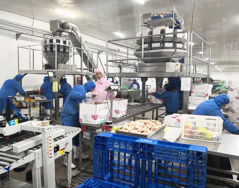 産品包(bao)裝