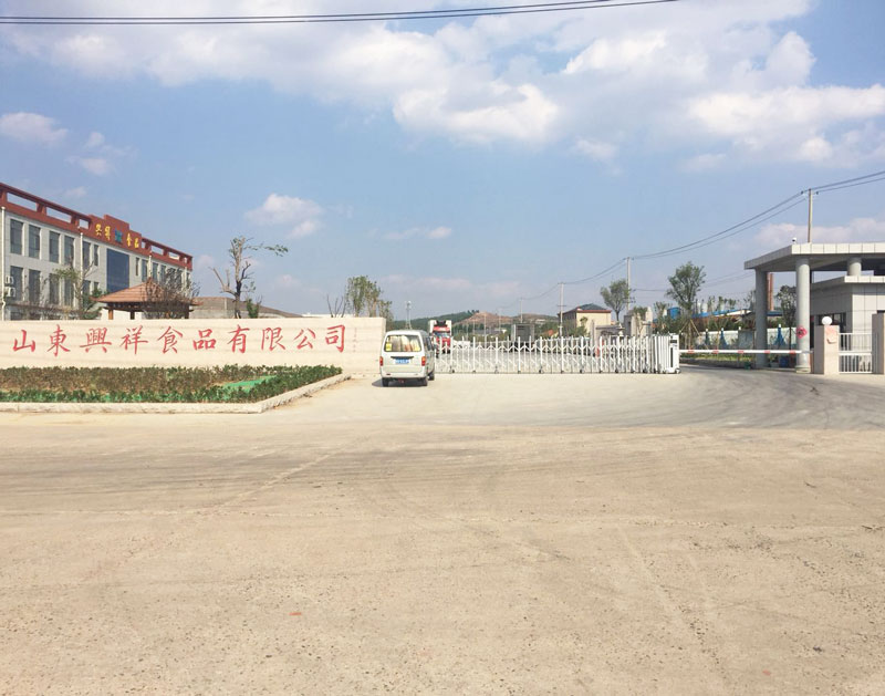 公司正(zheng)門(men)